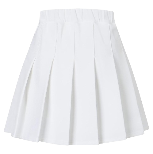 Pleated Skirt Set